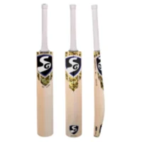 SG HP ICON English Willow Cricket Bat SH