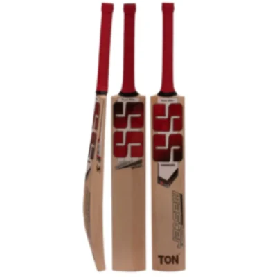 SS MASTER 9000 English Willow Cricket Bat